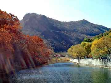 世界体操团体赛冠军教练获国际表彰，世界体操锦标赛冠军